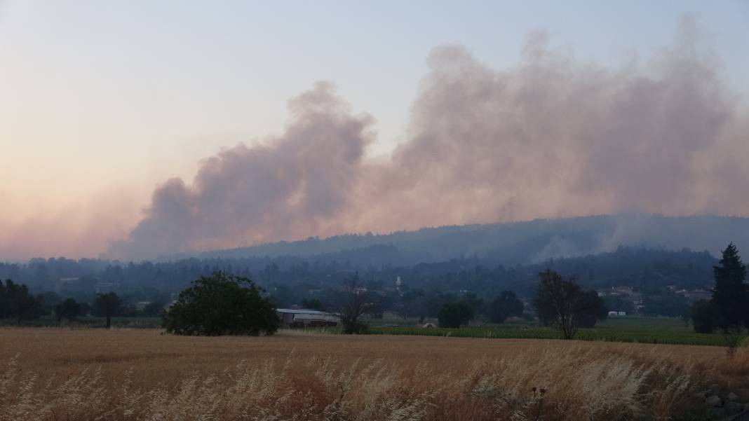 Çanakkale'deki Tarihi Alan'ın güney hattı ziyarete açıldı! Orman yangınında kapatılmıştı - Resim: 38